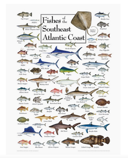 Jigsaw Puzzle, Several Prints